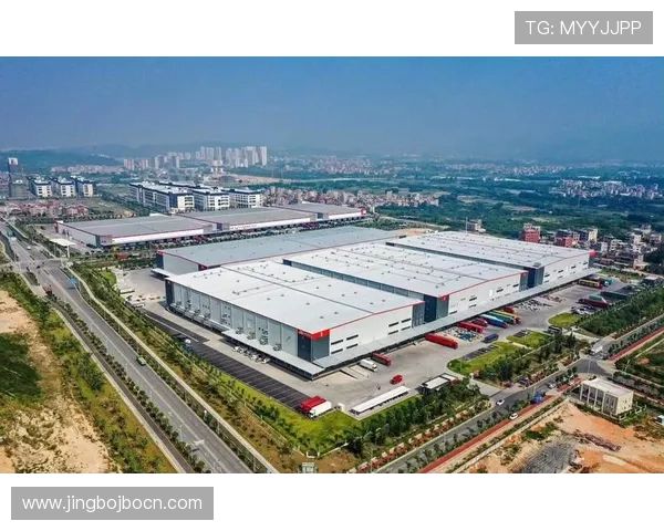 365速发国际助力中小企业拓展海外市场实现快速物流支持 365速发国际助力中小企业拓展海外市场实现快速物流支持