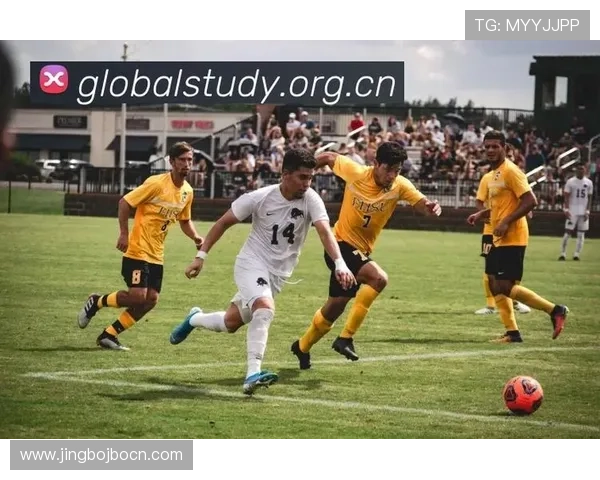 乐鱼体育全站实现多终端同步观看,打造无缝体育直播新体验 乐鱼体育全站实现多终端同步观看,打造无缝体育直播新体验