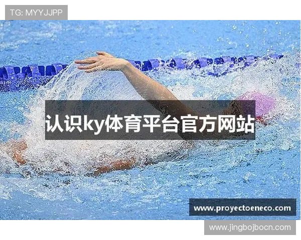 开云体育登入：多设备同步登录享受无缝体育娱乐体验